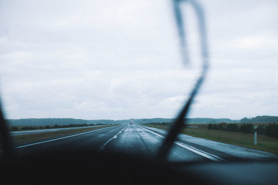 Best Road Trip Tips for Long Distance Travel Experience
