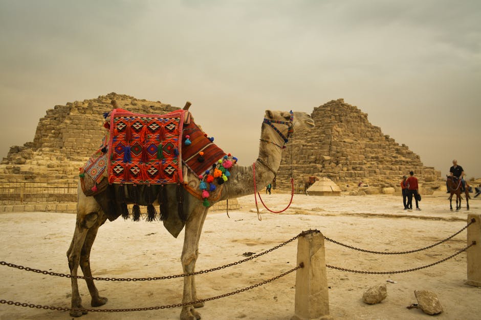 Budget Travel Guide to Egypt with Travel Cost Details