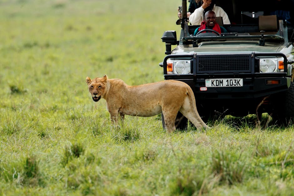 Kenya Travel Guide with Safari and Wildlife Experience