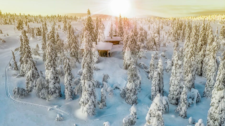 Top Hotels in Finland for Winter Travel Experience