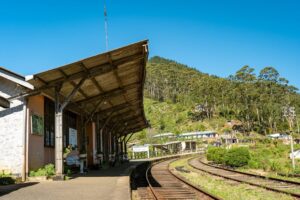 7 Days in Sri Lanka Travel Itinerary and Budget Guide