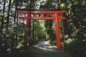 One Week in Japan Travel Itinerary and Travel Tips